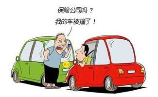 汽车出险全责可以报多少