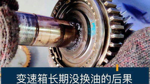 换汽车齿轮油多少钱 换汽车齿轮油多少钱
