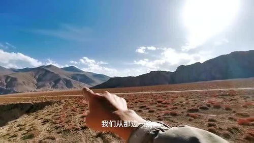 23岁异瞳小伙在无人区拍治沙走红 23岁异瞳小伙在无人区拍治沙走红