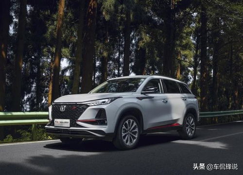 汽车修复价格多少(汽车修复价格多少,全面解析汽车修复成本与因素) 汽车修复价格多少(汽车修复价格多少,全面解析汽车修复成本与因素)