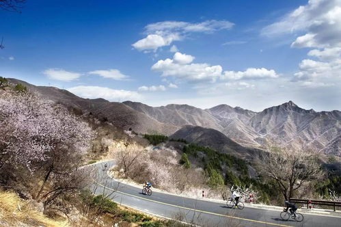 妙峰山汽车多少公里(妙峰山汽车行驶多少公里?一篇文章带你了解) 妙峰山汽车多少公里(妙峰山汽车行驶多少公里?一篇文章带你了解)