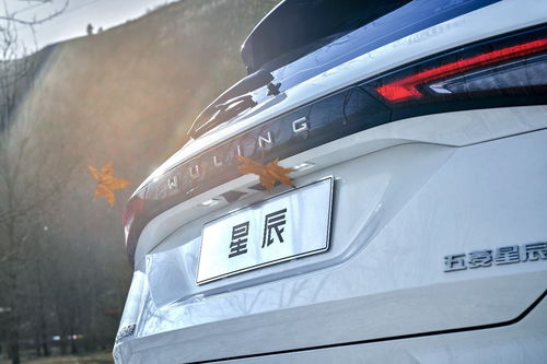 汽车漏掉正常多少(汽车漏掉正常多少,解析汽车漏油现象及其正常范围) 汽车漏掉正常多少(汽车漏掉正常多少,解析汽车漏油现象及其正常范围)