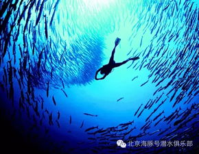 华为电脑原神潜水怎么开(华为电脑原神潜水攻略,探索未知世界的神秘之旅) 华为电脑原神潜水怎么开(华为电脑原神潜水攻略,探索未知世界的神秘之旅)