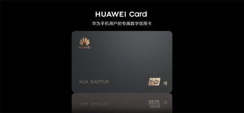 华为p 40与电脑怎么连接(华为P40与电脑的连接方式,实现高效数据传输与同步) 华为p 40与电脑怎么连接(华为P40与电脑的连接方式,实现高效数据传输与同步)