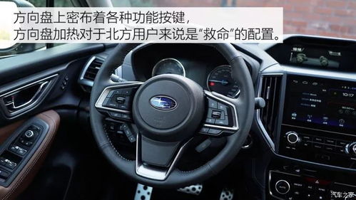 六安汽车四轮保养多少钱(六安汽车四轮保养费用详解) 六安汽车四轮保养多少钱(六安汽车四轮保养费用详解)