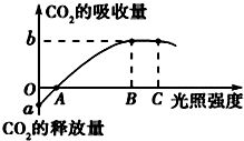广东汽车加多少度冷冻液(广东汽车加冷冻液的温度标准解析)