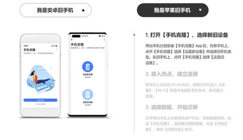 华为手机怎么把app转到电脑(华为手机如何将APP转移到电脑,详细步骤与实用技巧) 华为手机怎么把app转到电脑(华为手机如何将APP转移到电脑,详细步骤与实用技巧)