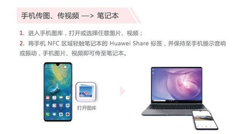 华为电脑下小红书怎么下(华为电脑下小红书的下载与体验分享)