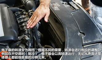 汽车压缩机冷却液加多少(汽车压缩机冷却液加注量的科学解析) 汽车压缩机冷却液加多少(汽车压缩机冷却液加注量的科学解析)