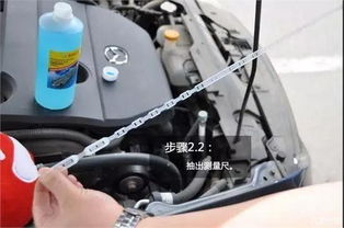 凤凰牌汽车玻璃水加多少(凤凰牌汽车玻璃水的正确加注量，操作指南与注意事项)