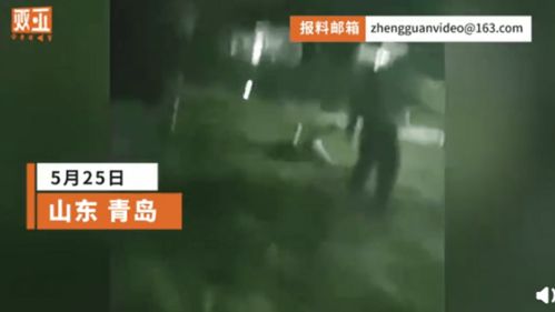 大学书记直播殴打学生?校方回应(大学书记直播殴打学生事件,深度分析与校方的回应) 大学书记直播殴打学生?校方回应(大学书记直播殴打学生事件,深度分析与校方的回应)