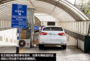 七分之3=3乘多少汽车(七分之三的奥秘，汽车乘法背后的故事)