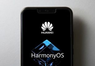 华为电脑怎么使用录音机(华为电脑如何使用录音机，详细操作指南)