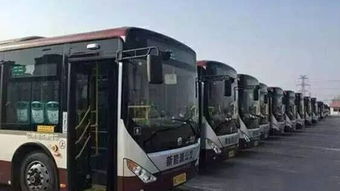 孝昌到宜昌汽车票价多少(孝昌到宜昌汽车票价详解,价格、路线与旅行指南) 孝昌到宜昌汽车票价多少(孝昌到宜昌汽车票价详解,价格、路线与旅行指南)