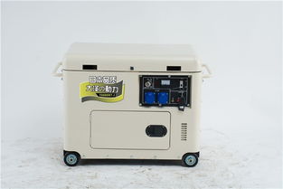 汽车装电瓶稳压器多少钱(汽车装电瓶稳压器的价格及其重要性)
