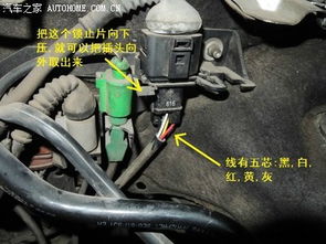 新豹汽车传感器多少钱(新豹汽车传感器价格解析)