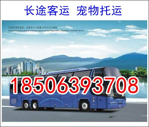宜春一东莞汽车票多少钱(宜春到东莞汽车票价查询及旅行攻略) 宜春一东莞汽车票多少钱(宜春到东莞汽车票价查询及旅行攻略)
