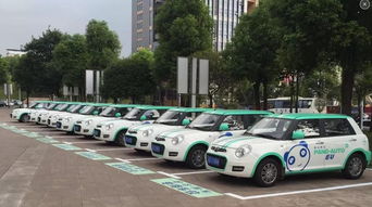 一套共享汽车系统多少钱(共享汽车系统，价格与价值的考量)