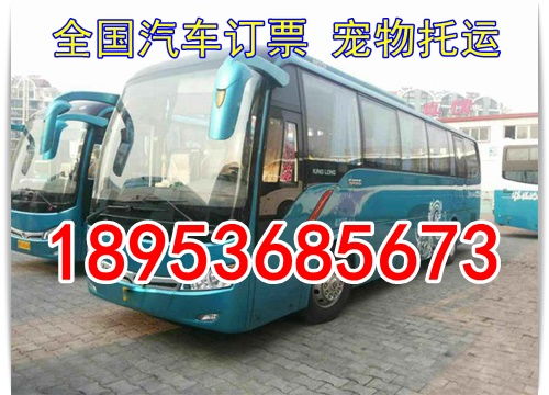 大王到东营汽车票多少钱(大王至东营汽车票价详解,费用、时间与路线一览) 大王到东营汽车票多少钱(大王至东营汽车票价详解,费用、时间与路线一览)