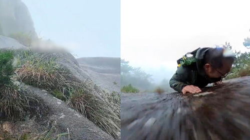 退休教授雨夜爬山失足坠崖遇难(雨夜悲歌,退休教授爬山失足坠崖遇难) 退休教授雨夜爬山失足坠崖遇难(雨夜悲歌,退休教授爬山失足坠崖遇难)