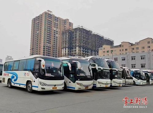 杨箕客运汽车站电话多少(杨箕客运汽车站电话及相关服务信息介绍) 杨箕客运汽车站电话多少(杨箕客运汽车站电话及相关服务信息介绍)