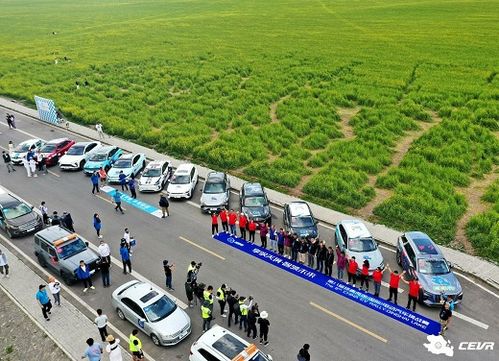 云岗有多少公里长途汽车(探寻云岗,距离与长途汽车的旅程) 云岗有多少公里长途汽车(探寻云岗,距离与长途汽车的旅程)