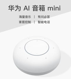 华为音箱mini怎么连接电脑(华为音箱MINI连接电脑,详细步骤与操作指南) 华为音箱mini怎么连接电脑(华为音箱MINI连接电脑,详细步骤与操作指南)