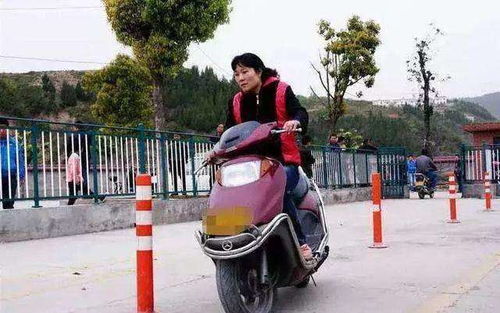 电瓶车汽车保暖罩多少钱(电瓶车汽车保暖罩的价格及其相关因素探讨) 电瓶车汽车保暖罩多少钱(电瓶车汽车保暖罩的价格及其相关因素探讨)