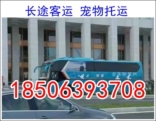 福永到道县汽车票价多少(福永到道县汽车票价详解) 福永到道县汽车票价多少(福永到道县汽车票价详解)