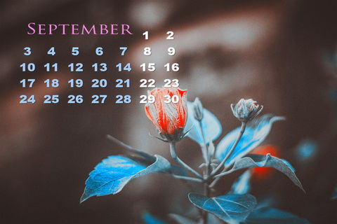 华为电脑桌面怎么加日历(华为电脑桌面日历添加指南)