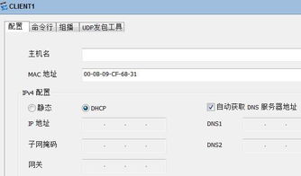 华为怎么删电脑获取的dhcp(华为电脑如何删除获取的DHCP信息) 华为怎么删电脑获取的dhcp(华为电脑如何删除获取的DHCP信息)