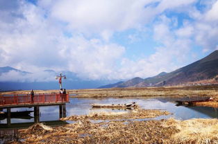 凯里到草海汽车票多少钱(凯里到草海汽车票价查询)