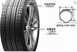 汽车轮胎胎侧多少层钢丝(汽车轮胎胎侧钢丝层数深度解析)