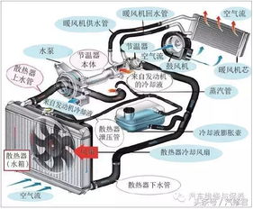 现代汽车的防冻液多少钱(现代汽车的防冻液价格解析) 现代汽车的防冻液多少钱(现代汽车的防冻液价格解析)