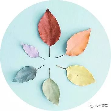 华为电脑画头像怎么弄(华为电脑画头像的详细步骤与技巧)