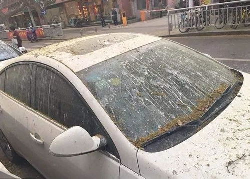 防水汽车保护膜多少钱(防水汽车保护膜的价格及其相关因素探讨) 防水汽车保护膜多少钱(防水汽车保护膜的价格及其相关因素探讨)