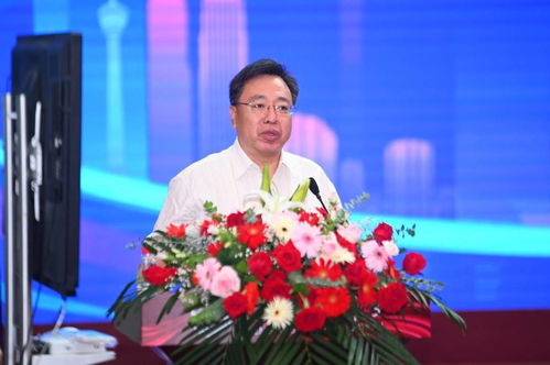 华为传数据怎么传电脑上(华为数据传至电脑的详细步骤指南)