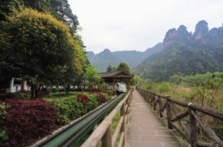 邻水到张家界多少钱汽车(邻水到张家界,汽车票价及旅行攻略) 邻水到张家界多少钱汽车(邻水到张家界,汽车票价及旅行攻略)