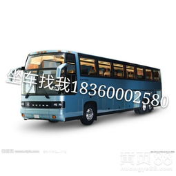 温州回唐河汽车票多少钱(温州至唐河汽车票价查询，深度解析与旅行准备)