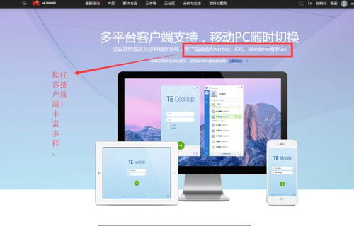 电脑华为云会议怎么投屏(电脑华为云会议投屏指南)