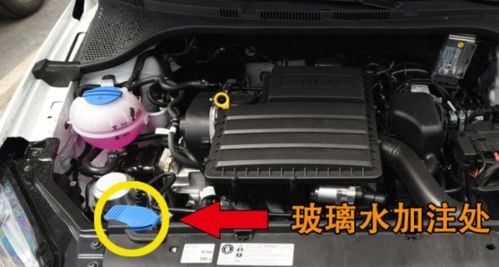 福克斯汽车玻璃水加多少(福克斯汽车玻璃水加注量详解) 福克斯汽车玻璃水加多少(福克斯汽车玻璃水加注量详解)