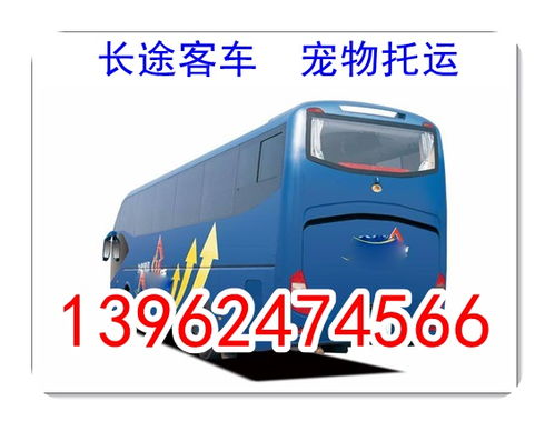 淇县到济宁汽车票多少钱(淇县到济宁汽车票价详解,费用、时间与路线) 淇县到济宁汽车票多少钱(淇县到济宁汽车票价详解,费用、时间与路线)