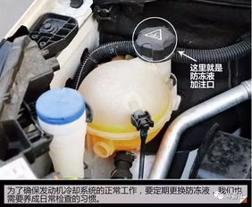 冬天汽车防冻液多少升的(冬天汽车防冻液的使用量与选择,多少升的探讨) 冬天汽车防冻液多少升的(冬天汽车防冻液的使用量与选择,多少升的探讨)