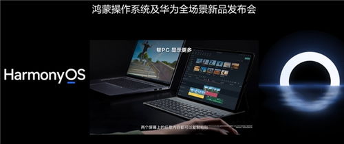 华为电脑怎么装演示软件(华为电脑安装演示软件全攻略) 华为电脑怎么装演示软件(华为电脑安装演示软件全攻略)