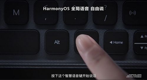 华为电脑的顿号怎么输入(华为电脑顿号输入指南，轻松掌握顿号输入技巧)