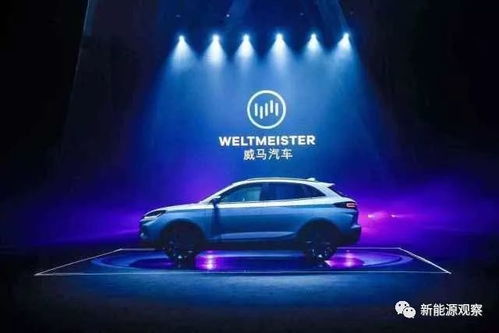 河口到龙陵要多少钱汽车(河口到龙陵的汽车票价详解)