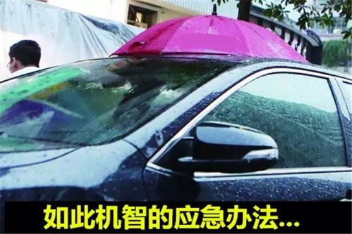 汽车车库漏水维修多少钱(汽车车库漏水维修费用解析) 汽车车库漏水维修多少钱(汽车车库漏水维修费用解析)