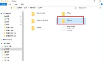 华为手机相册怎么拷电脑(华为手机相册如何轻松拷贝至电脑，详细步骤与操作指南)