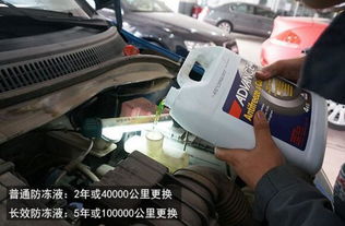 给汽车加透明液体多少钱(给汽车加透明液体需要多少钱?一篇文章带你了解汽车冷却液价格及知识) 给汽车加透明液体多少钱(给汽车加透明液体需要多少钱?一篇文章带你了解汽车冷却液价格及知识)