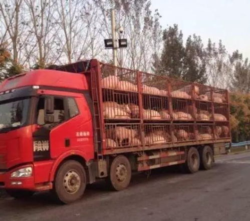 跑长途汽车买多少最合适(跑长途汽车买多少最合适，理性购车决策之道)